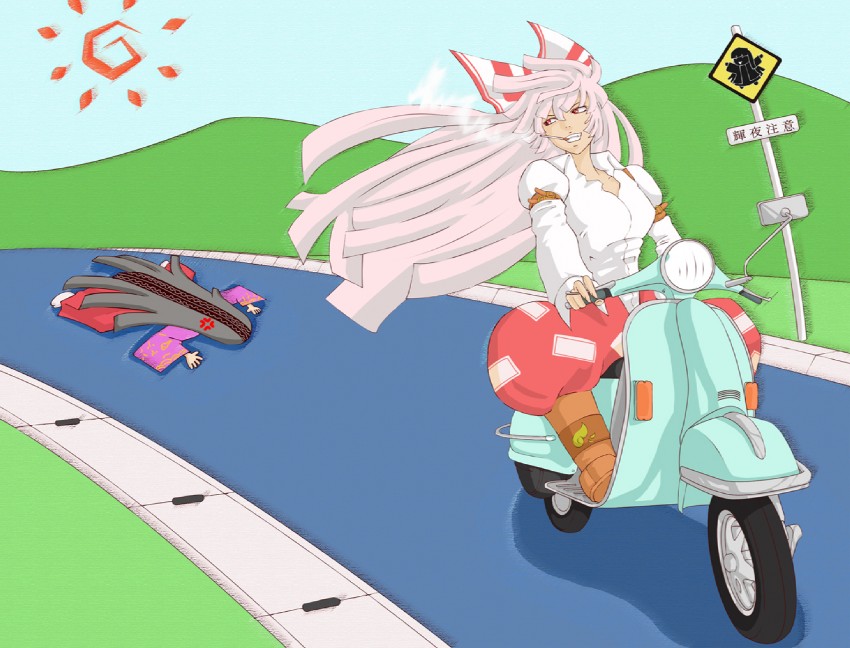 fujiwara no mokou and houraisan kaguya (touhou) drawn by versapro