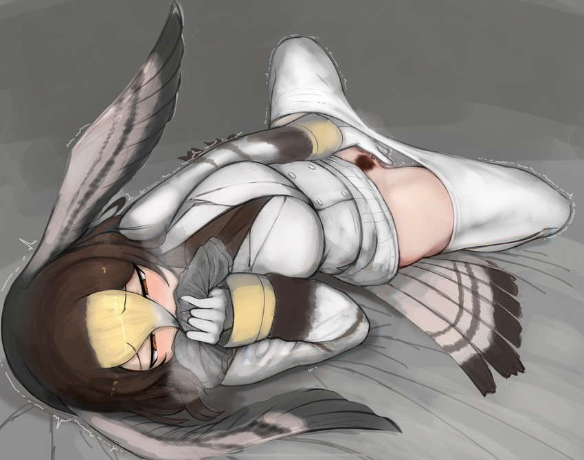 northern goshawk (kemono friends) drawn by shibori_kasu