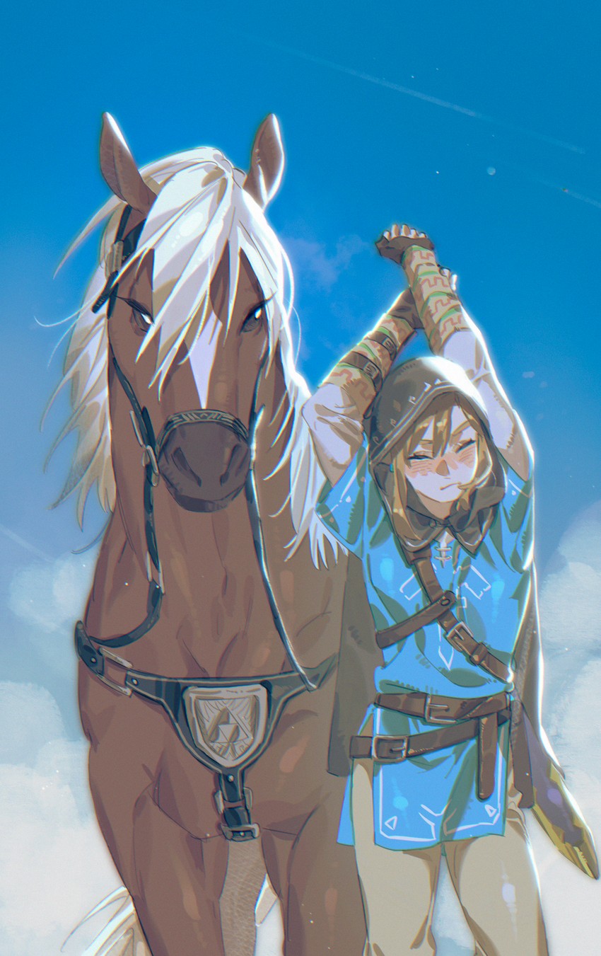 link and epona (the legend of zelda and 1 more) drawn by sumooo_(ga_ilil)