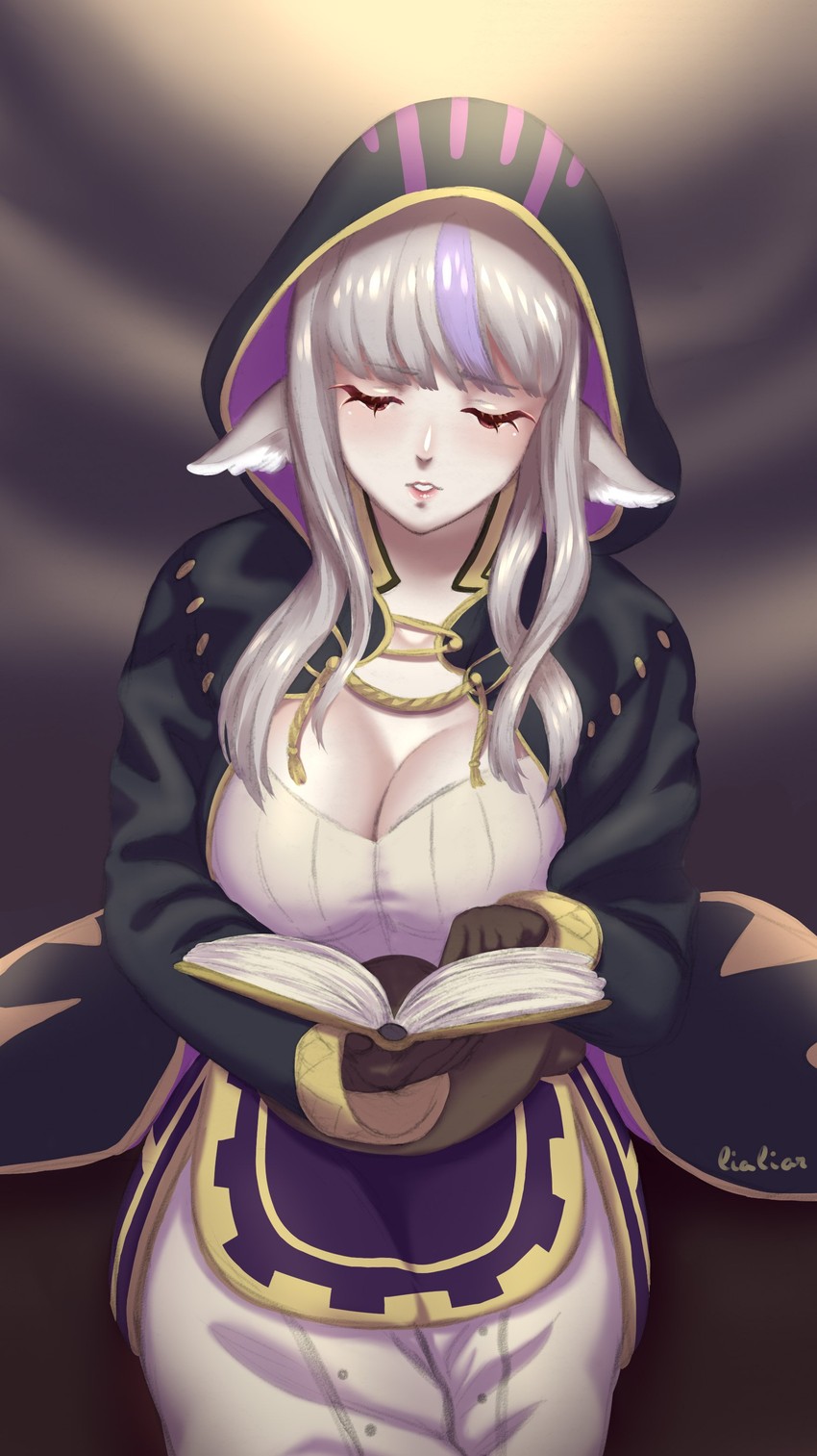 female robin and velouria (fire emblem and 2 more) drawn by lialiar1