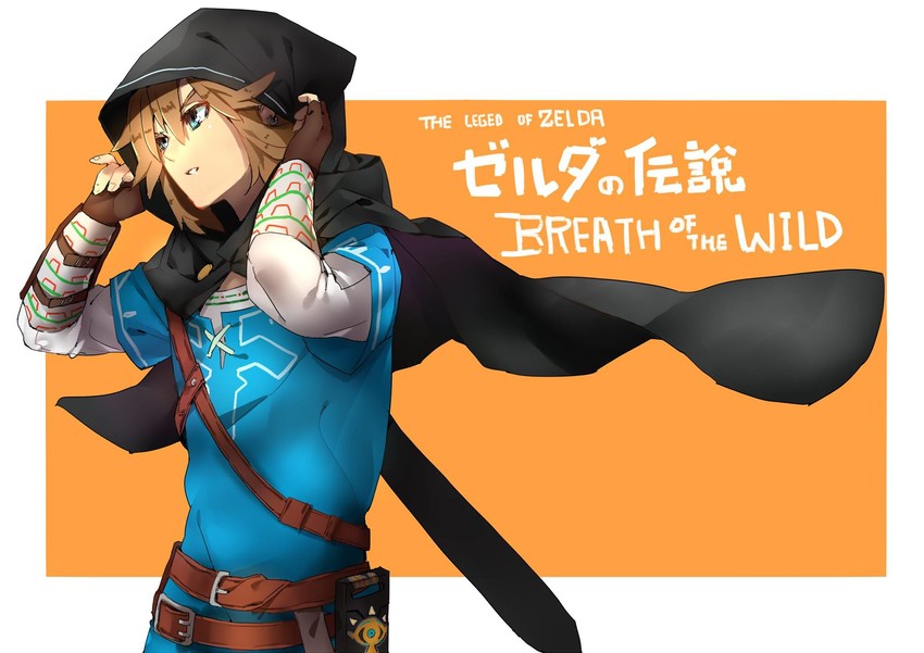 link (the legend of zelda and 1 more) drawn by makai