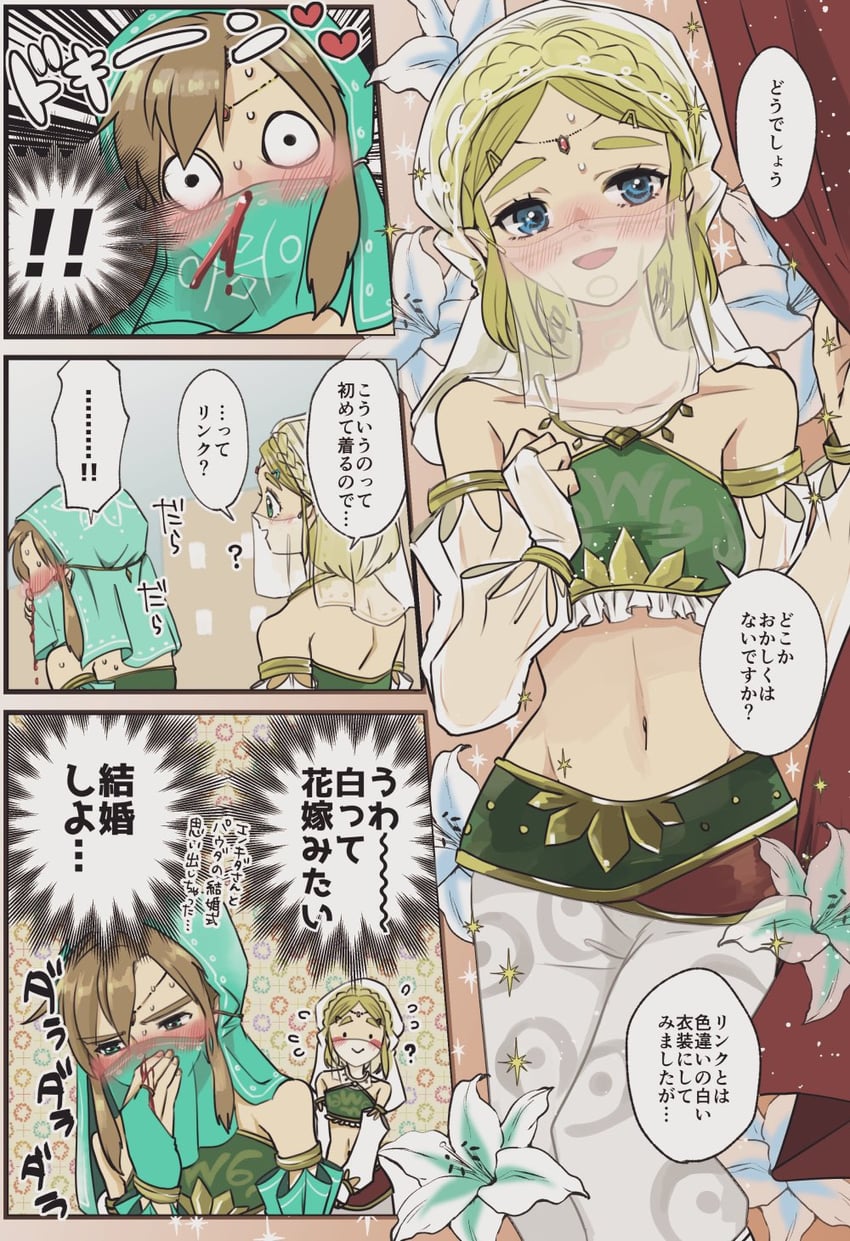 link and princess zelda (the legend of zelda and 1 more) drawn by zmauuchan