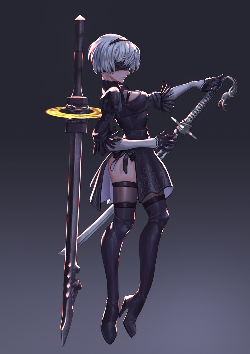2b (nier and 1 more) drawn by xue_qi_ye_(dndtmbdue)
