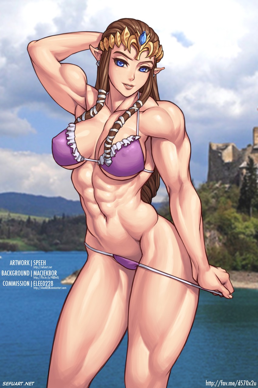 princess zelda (the legend of zelda and 1 more) drawn by speh