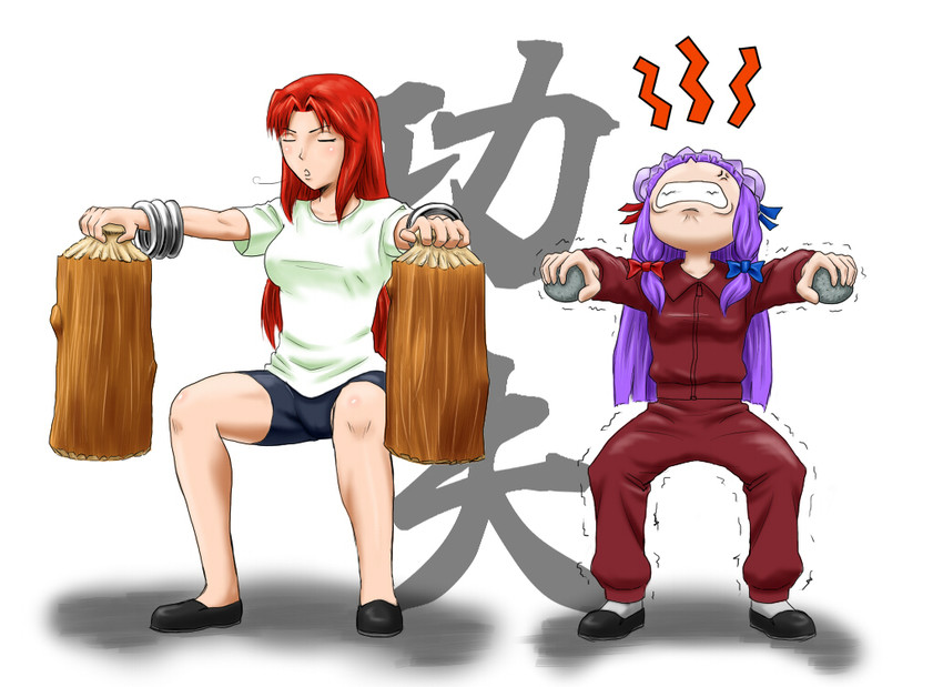 patchouli knowledge and hong meiling (touhou) drawn by taikyoku_tsurugi