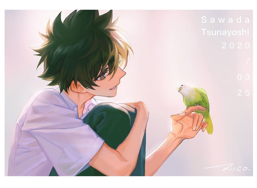 sawada tsunayoshi (katekyo hitman reborn!) drawn by ru_(famia)