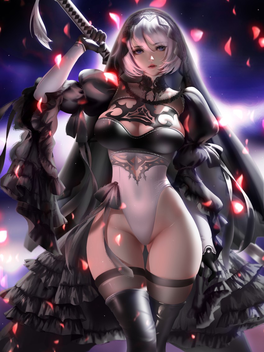 2b (nier and 1 more) drawn by liang_xing