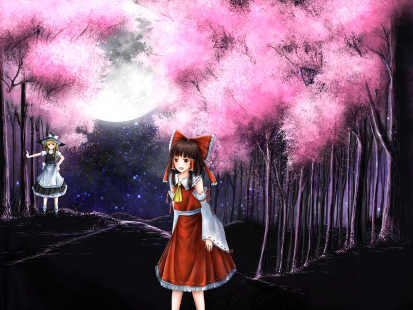 hakurei reimu and kirisame marisa (touhou) drawn by aihashi_i