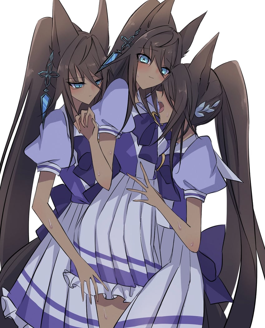 symboli kris s (umamusume and 1 more) drawn by toriumi_(fioripera14)