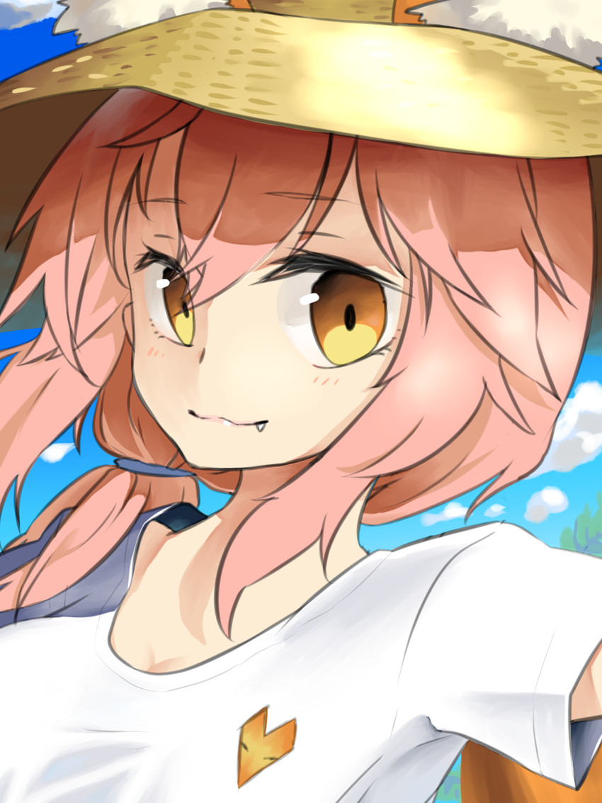 tamamo and tamamo no mae (fate and 2 more) drawn by matsunoiro