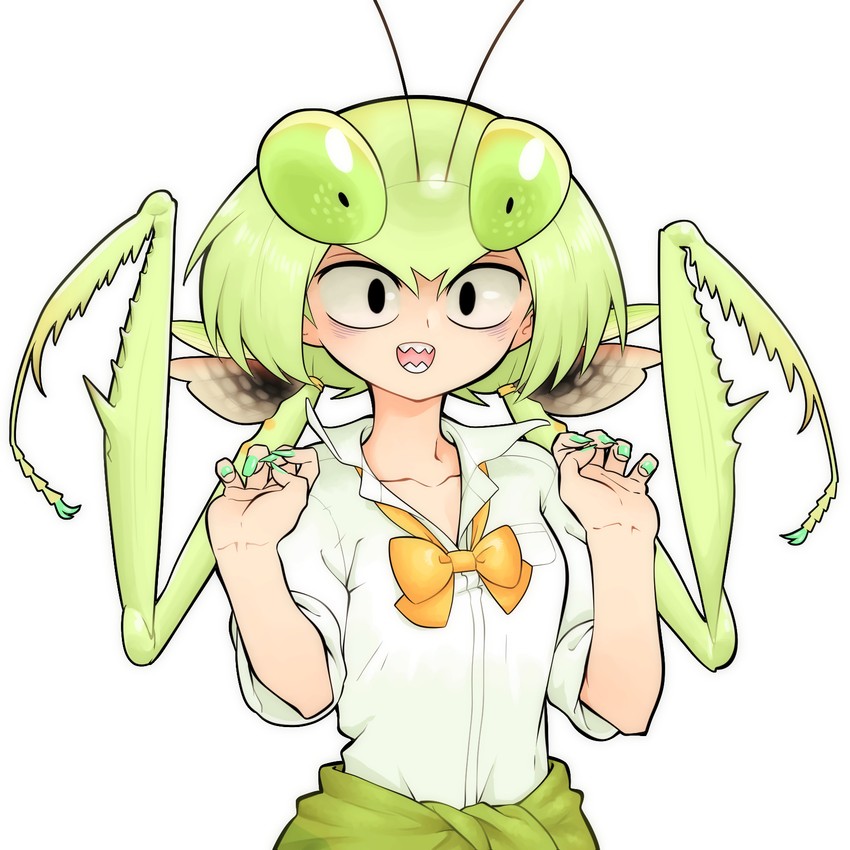 mantis akiyama (original and 1 more) drawn by evolvingmonkey