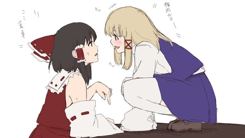 hakurei reimu and moriya suwako (touhou) drawn by terimayo