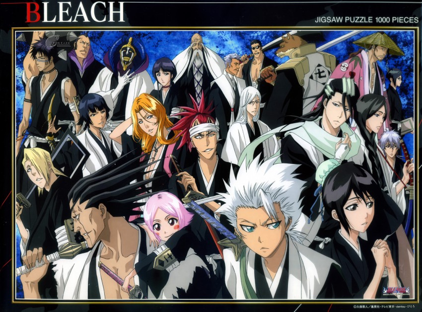 matsumoto rangiku, sui-feng, unohana retsu, kurotsuchi nemu, hitsugaya toushirou, and 17 more (bleach)