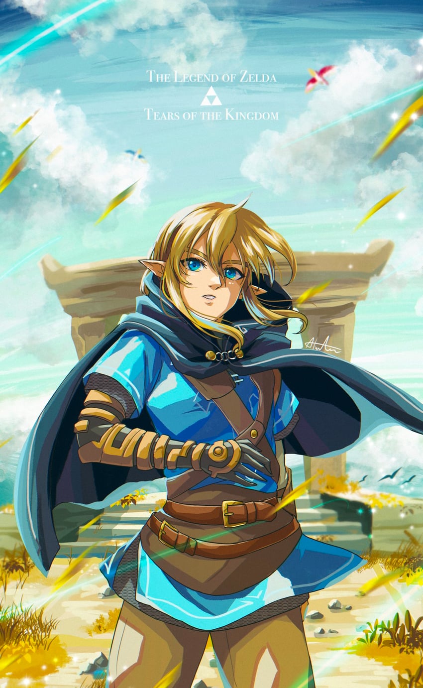 link (the legend of zelda and 1 more) drawn by sakuya_996