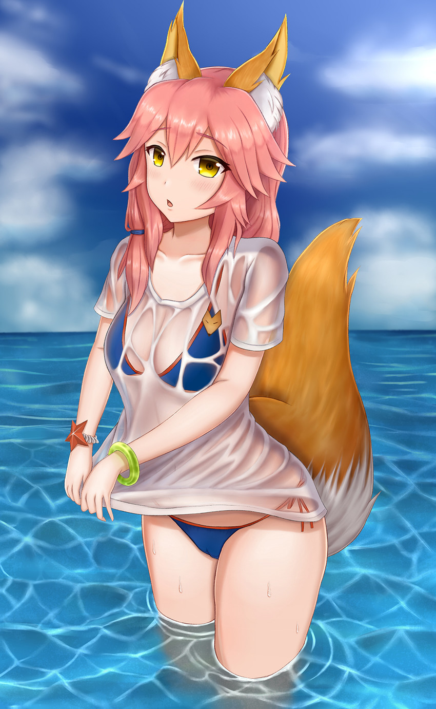 tamamo and tamamo no mae (fate and 2 more) drawn by lychnussys