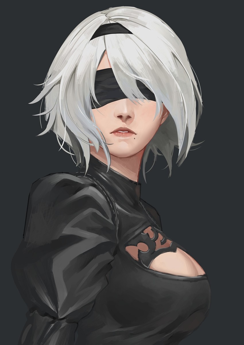 2b (nier and 1 more) drawn by jun_project