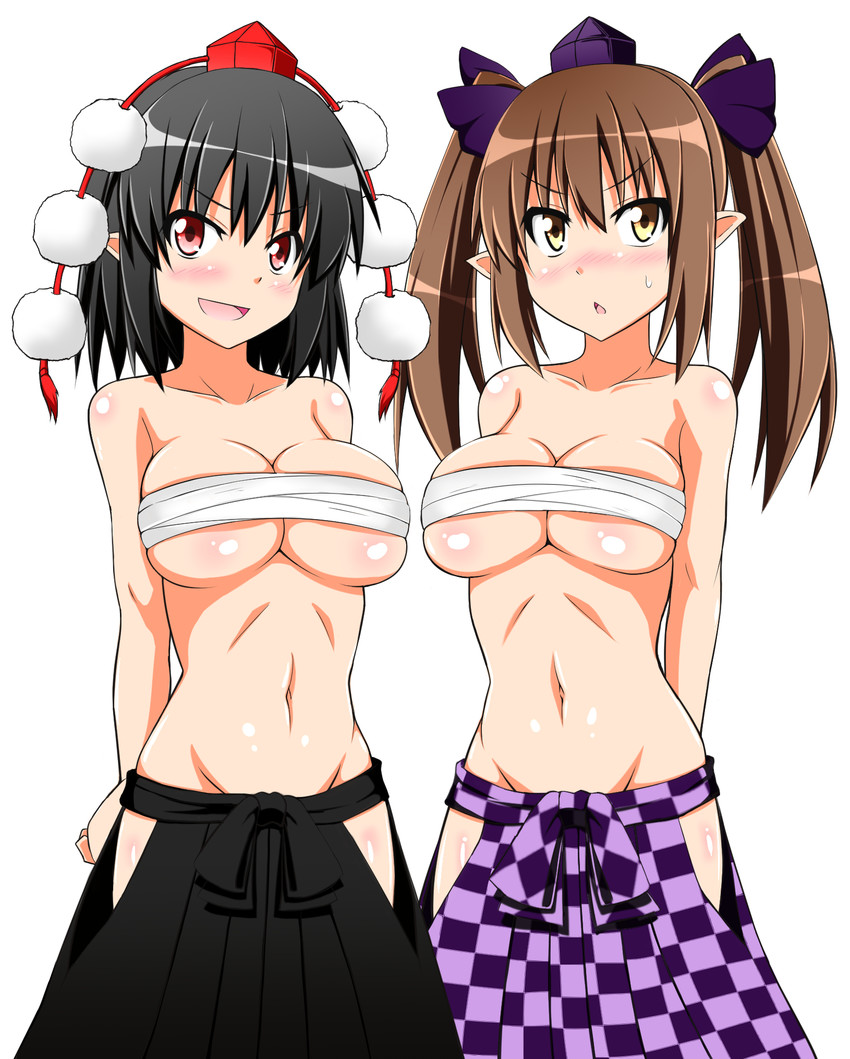 shameimaru aya and himekaidou hatate (touhou) drawn by chita_mika