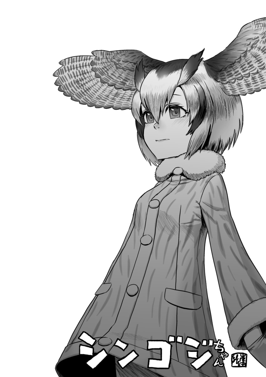 northern white-faced owl (kemono friends) drawn by kishida_shiki