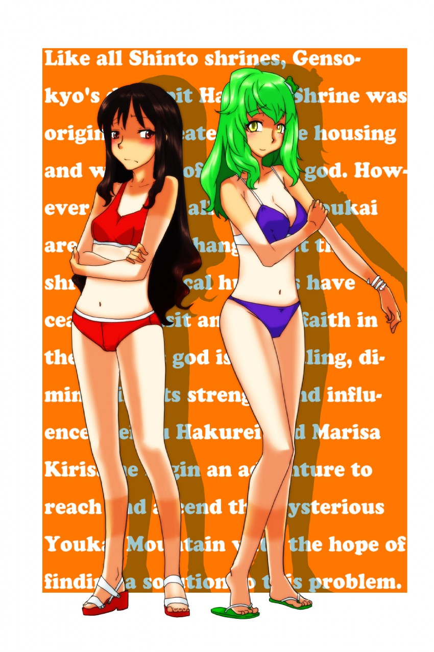 hakurei reimu and kochiya sanae (touhou) drawn by bakuya