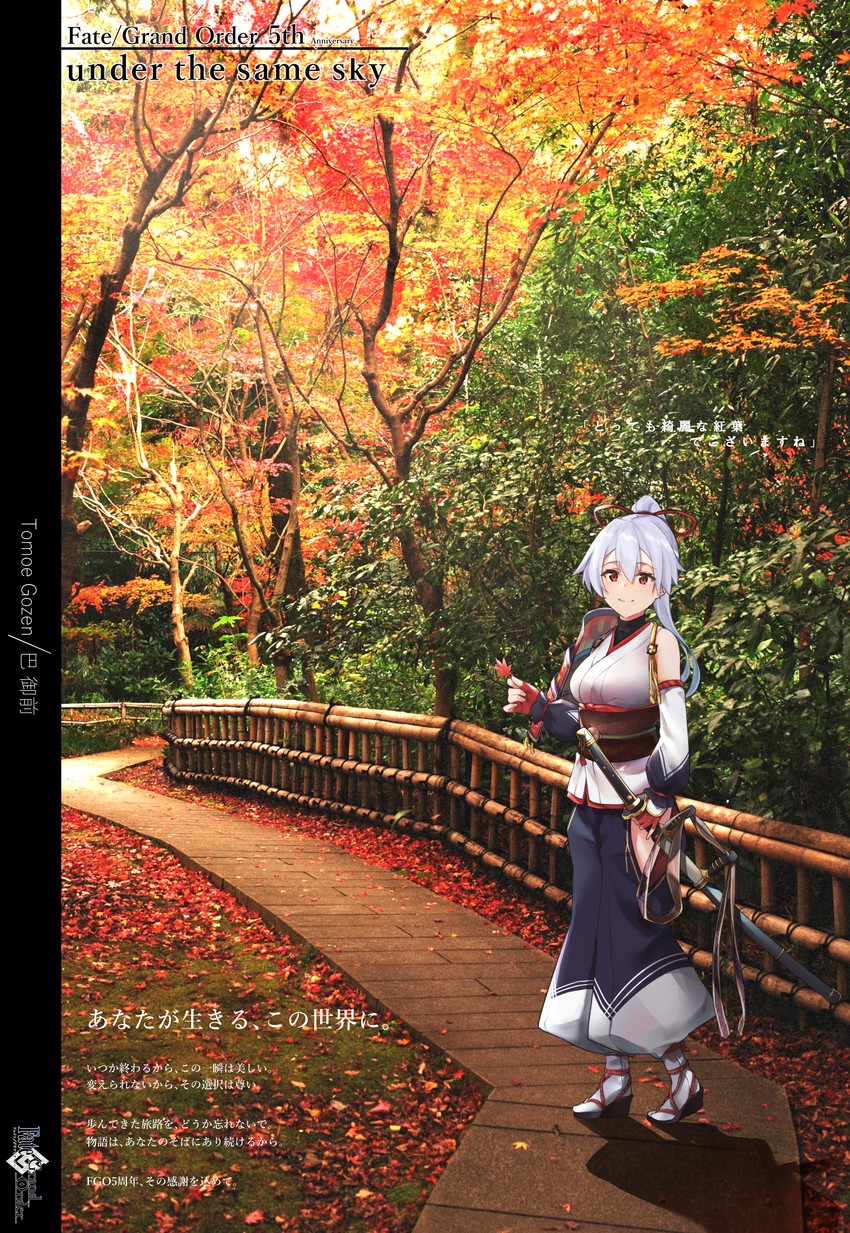 tomoe gozen (fate and 1 more) drawn by vegetablenabe