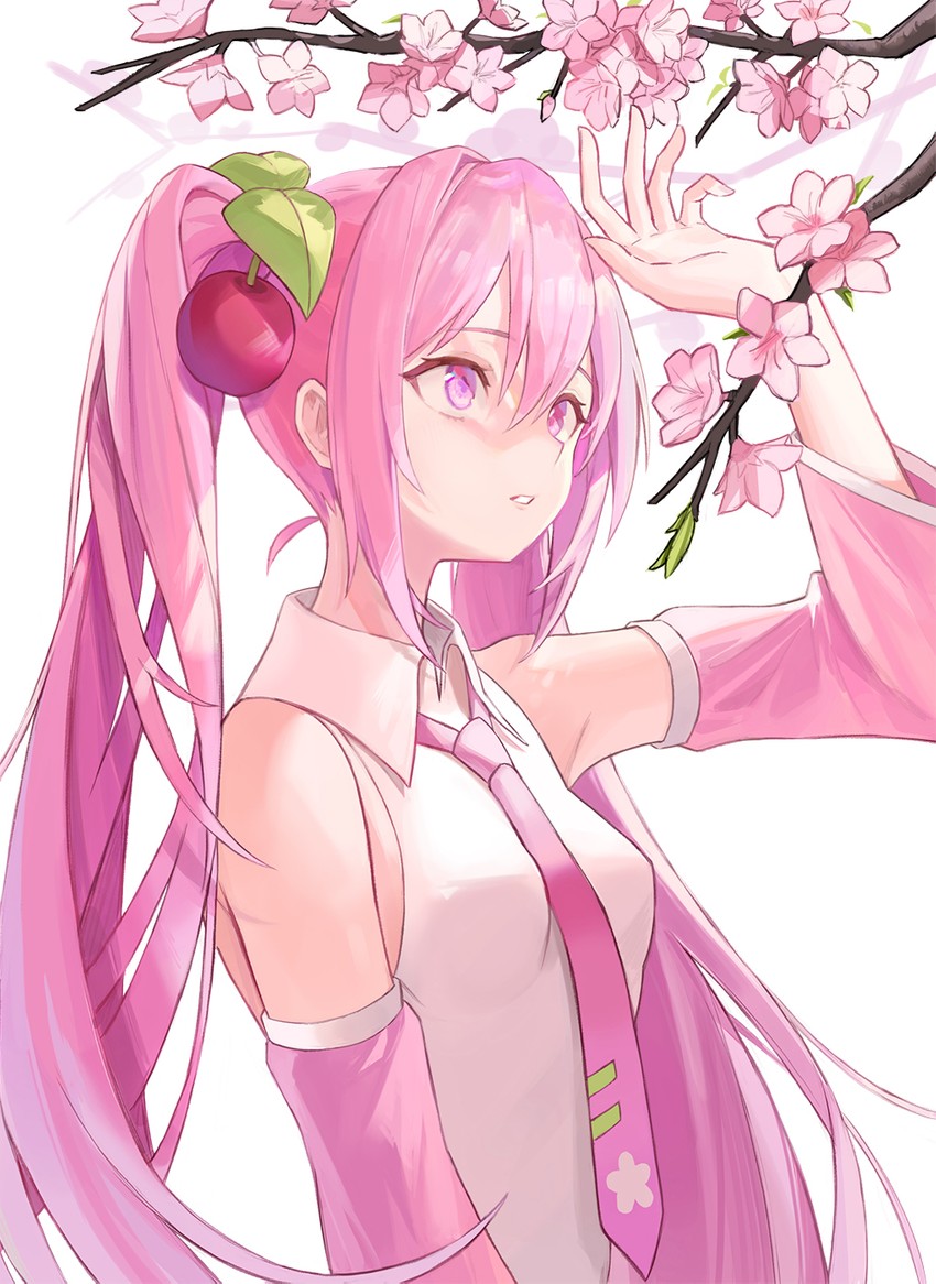 hatsune miku and sakura miku (vocaloid) drawn by fuwawa_(fuwawa617)