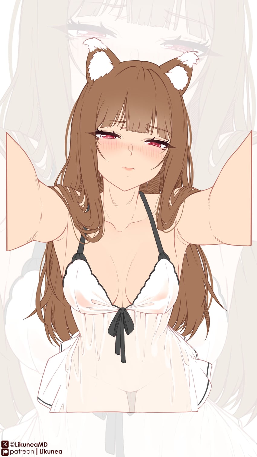 holo (spice and wolf) drawn by likunea