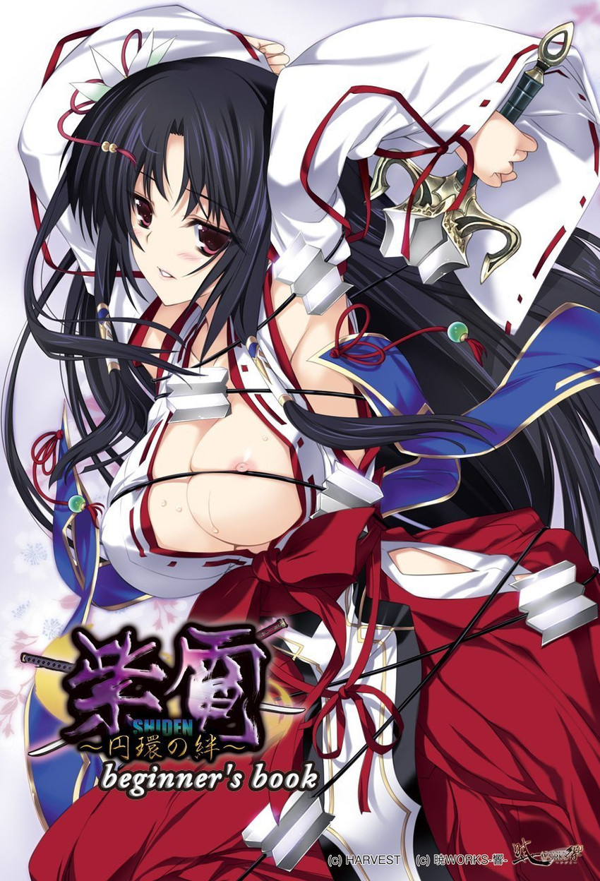 hieda saku (shiden enkan no kizuna) drawn by iizuki_tasuku