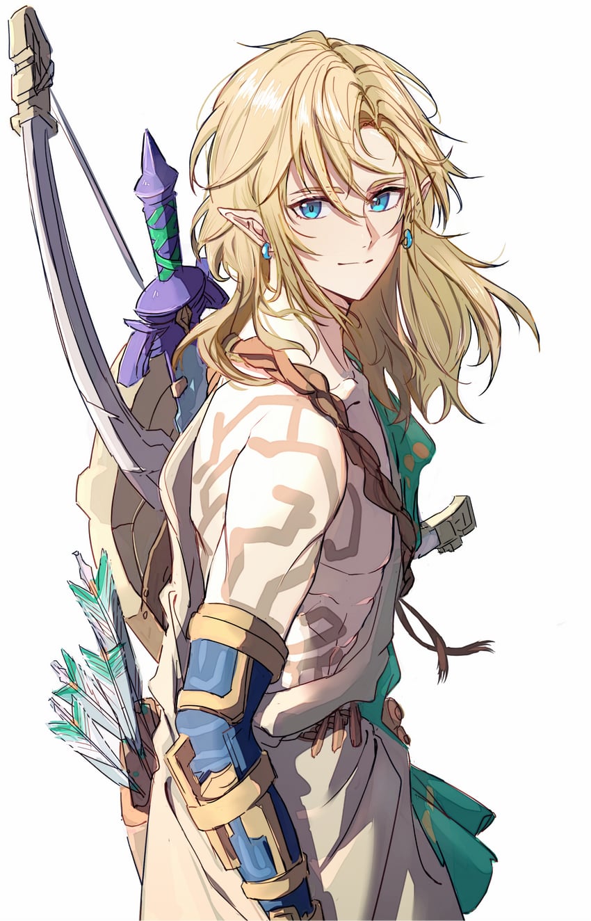 link (the legend of zelda and 1 more) drawn by reverie0304