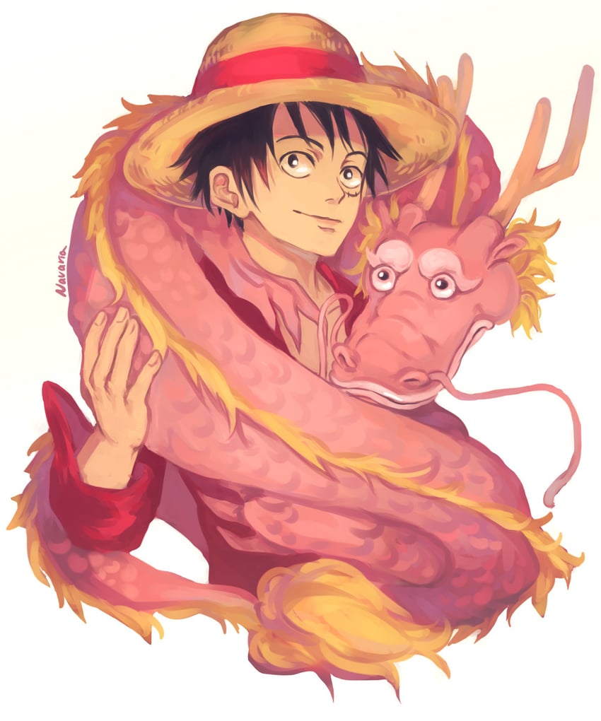 monkey d. luffy and kouzuki momonosuke (one piece) drawn by navaria
