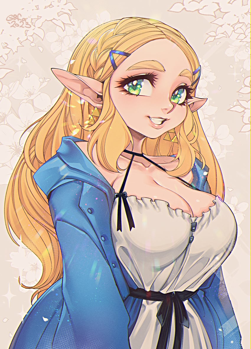 princess zelda (the legend of zelda and 1 more) drawn by gofa