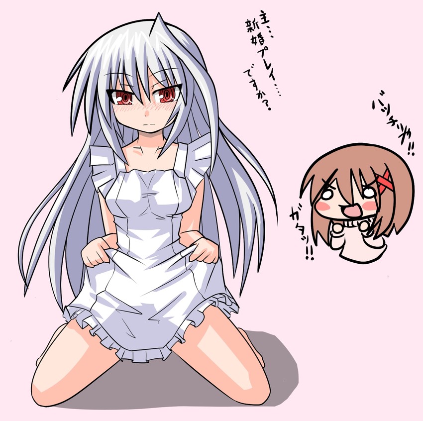 yagami hayate and reinforce (lyrical nanoha and 3 more) drawn by asuka_tsubasa