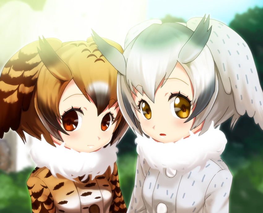 northern white-faced owl and eurasian eagle owl (kemono friends) drawn by junshi_(junbox)