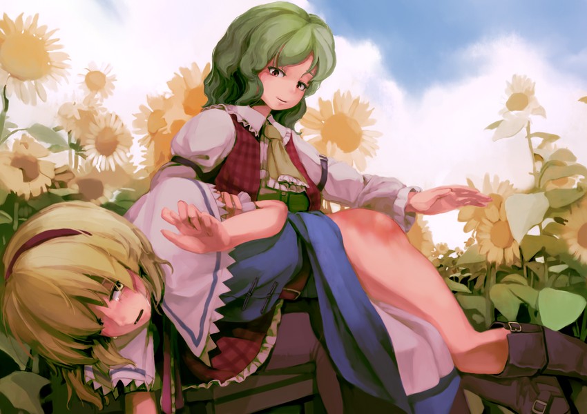 alice margatroid and kazami yuuka (touhou) drawn by w_lotusphage