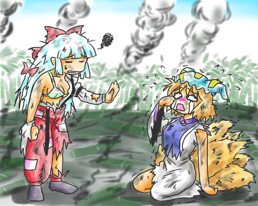 fujiwara no mokou and yakumo ran (touhou) drawn by bit_(kksbit)