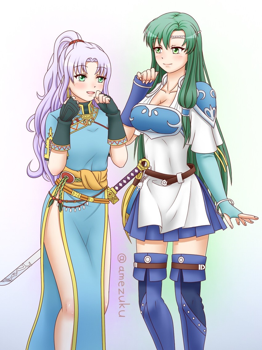 lyn and florina (fire emblem and 1 more) drawn by amezuku