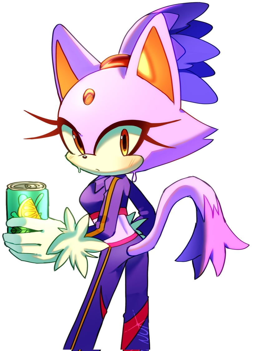 blaze the cat (sonic and 2 more) drawn by nuinu_17