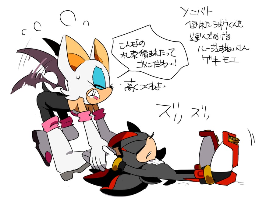 shadow the hedgehog and rouge the bat (sonic and 1 more) drawn by omiya599