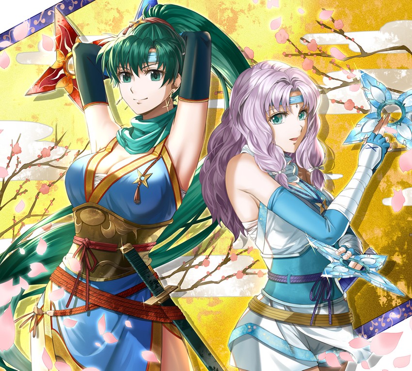 lyn and florina (fire emblem and 2 more) drawn by delsaber