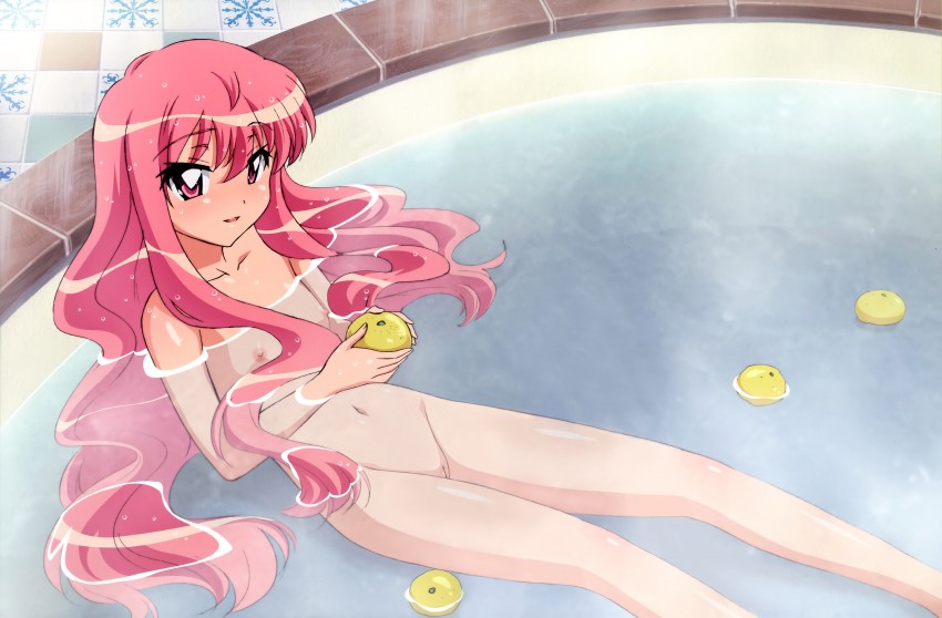 louise francoise le blanc de la valliere (zero no tsukaima)