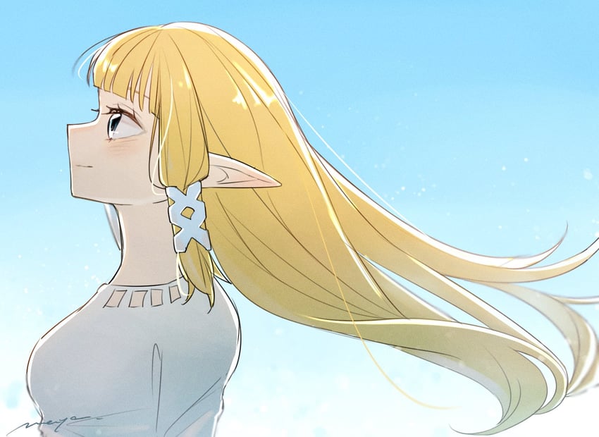 princess zelda (the legend of zelda and 1 more) drawn by maya_(mayamayammy)