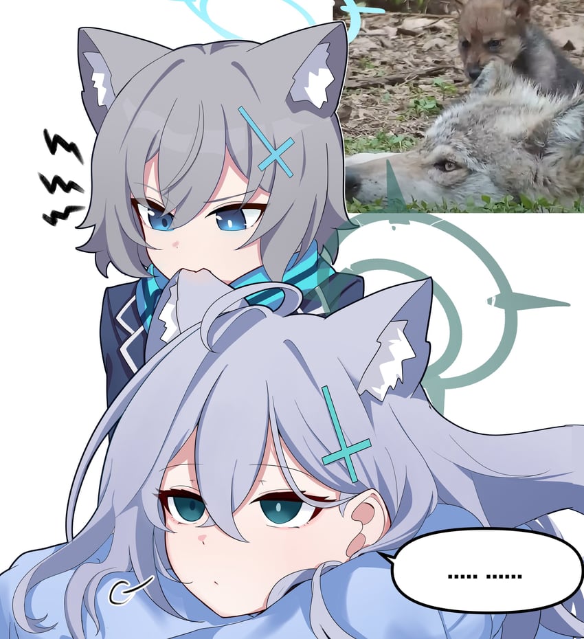 shiroko and shiroko terror (blue archive) drawn by skyrain315
