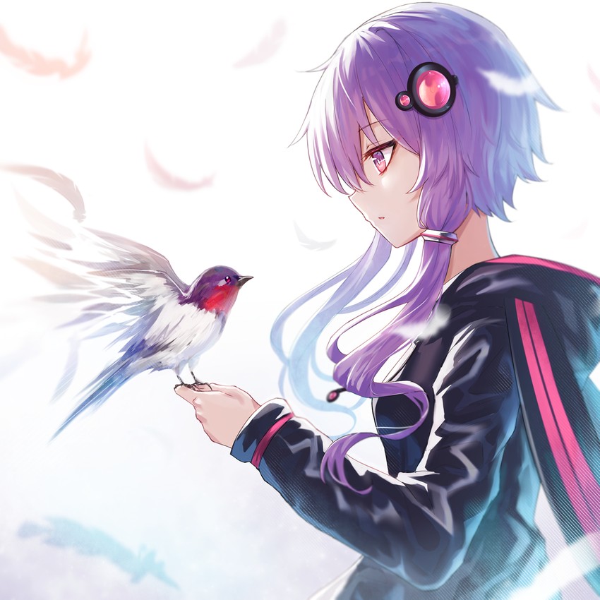 yuzuki yukari (vocaloid and 1 more) drawn by koissa