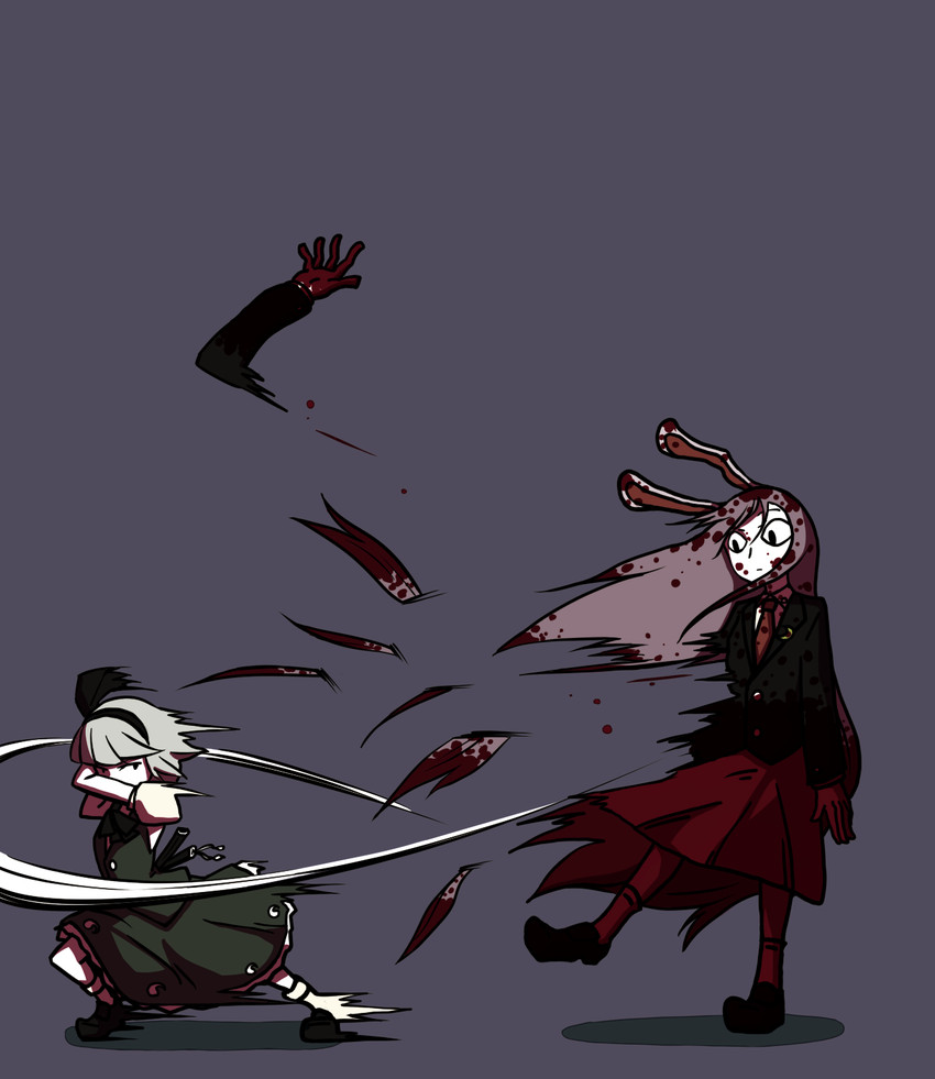 konpaku youmu and reisen udongein inaba (touhou) drawn by inarou_(rakugakiproject)