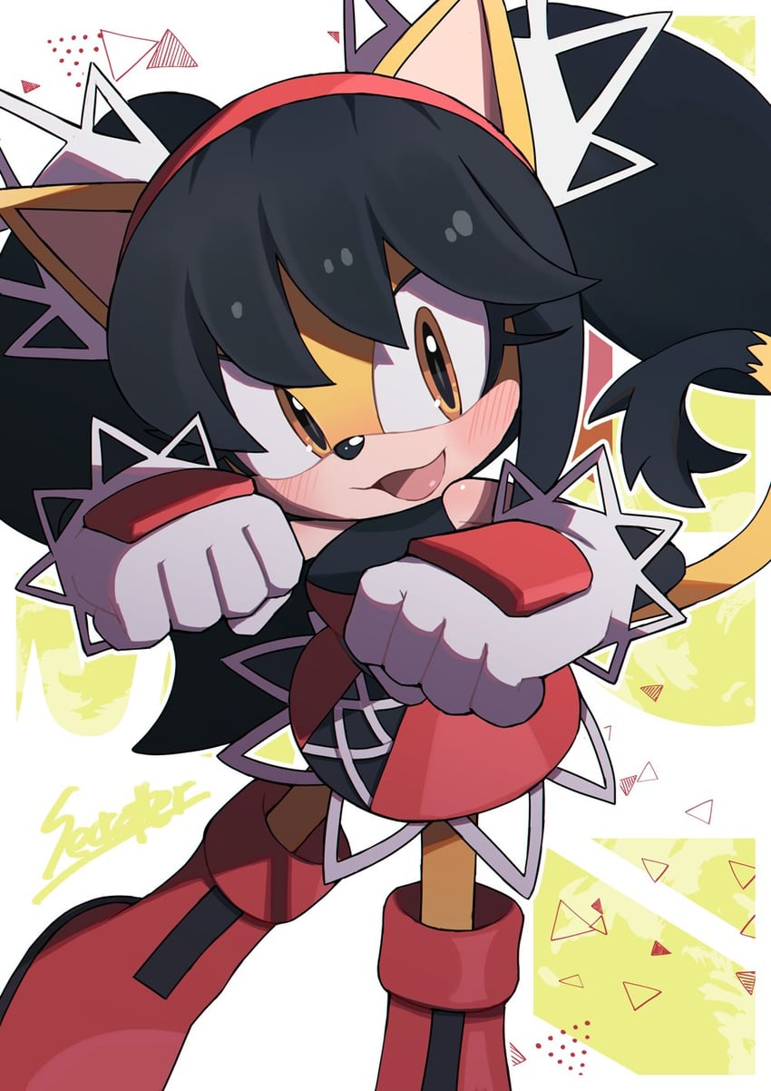 honey the cat (sonic and 2 more) drawn by secretter