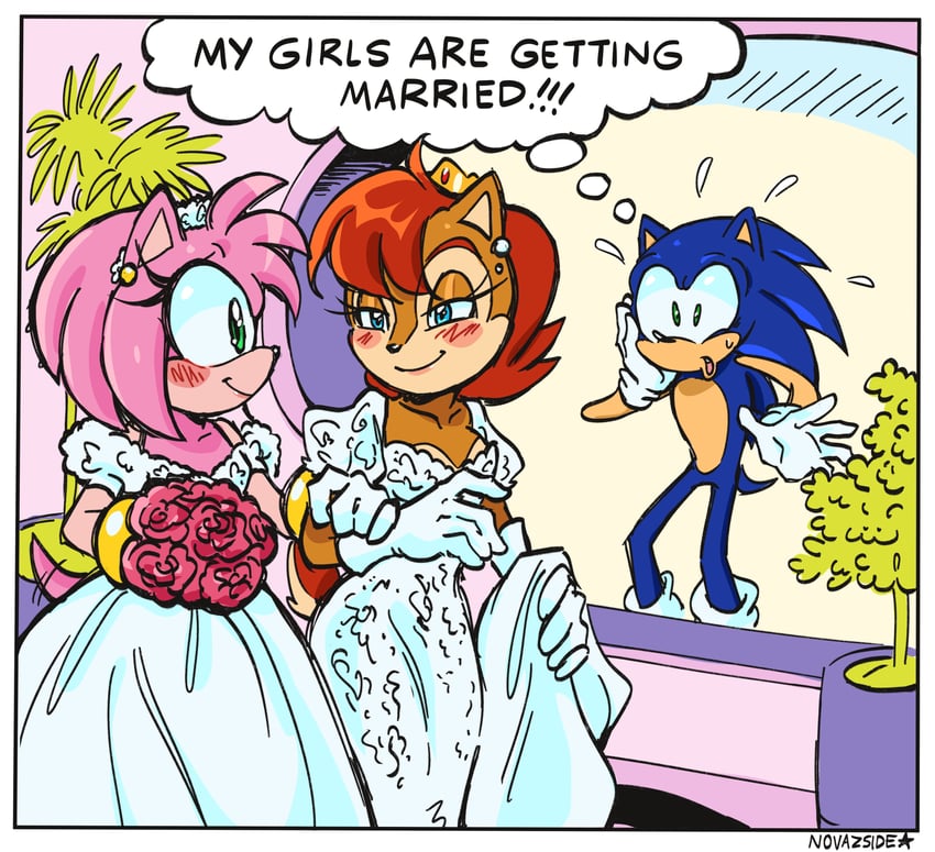 sonic the hedgehog, amy rose, and sally acorn (sonic and 2 more) drawn by novazside