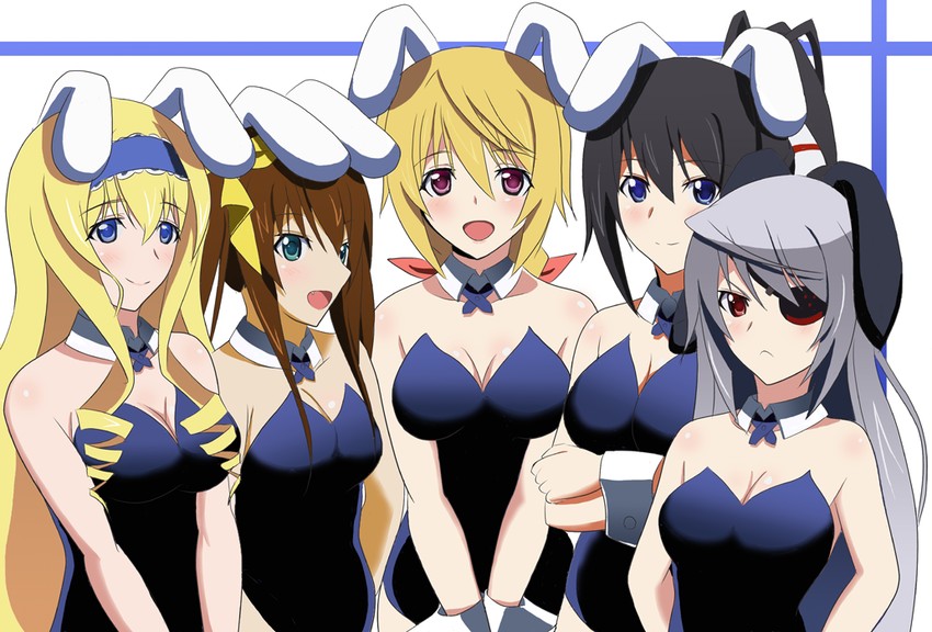 charlotte dunois, cecilia alcott, laura bodewig, shinonono houki, and huang lingyin (infinite stratos) drawn by sd_(sdgu)