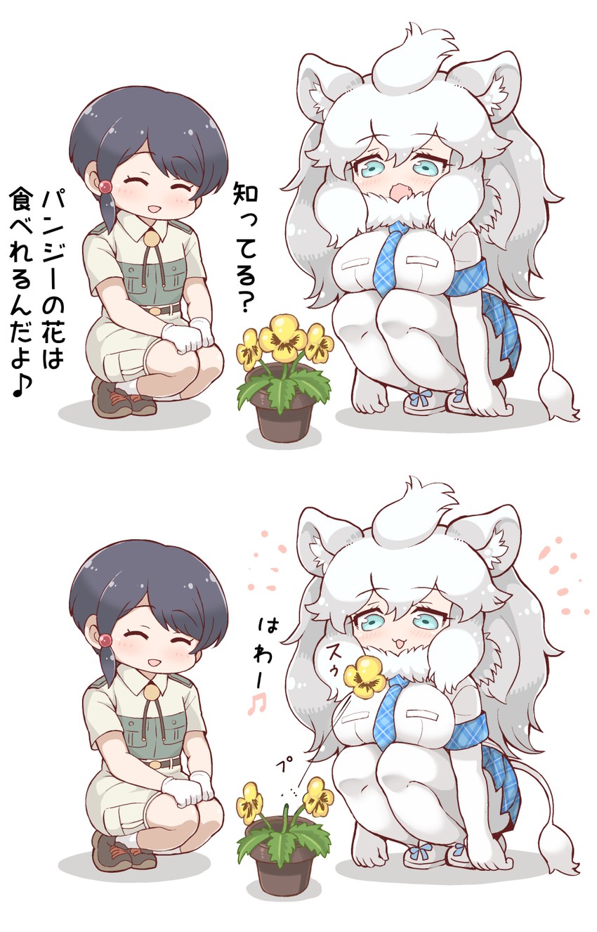 captain and white lion (kemono friends and 1 more) drawn by tanaka_kusao