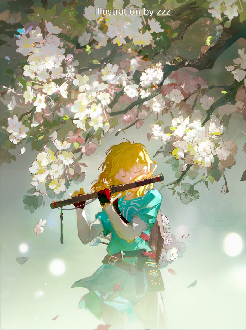 link (the legend of zelda and 1 more) drawn by zzz_(orchid-dale)