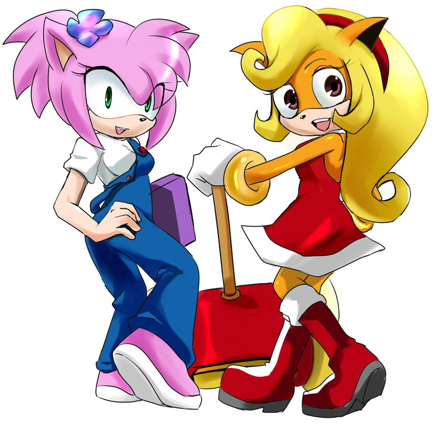 amy rose and coco bandicoot (sonic and 1 more) drawn by kimi_(garugirosonicshadow)