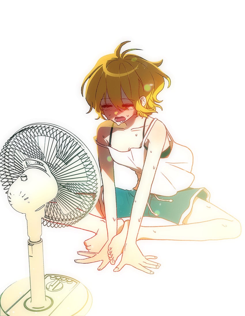 don quixote (project moon and 1 more) drawn by nonggang_1227